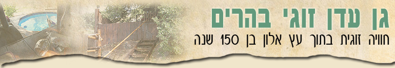 הבריכה בהרים